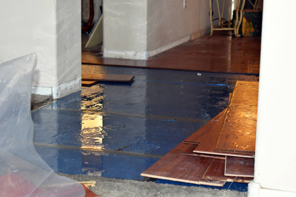 Professional Water Extraction technician working in Halltown, MO